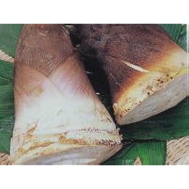 Amazon.co.jp ほしい物ランキング: たけのこ で、ほしい物リスト